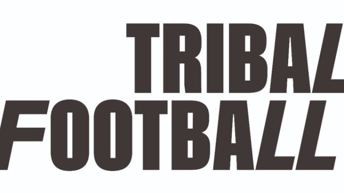 logo-780x405.jpeg