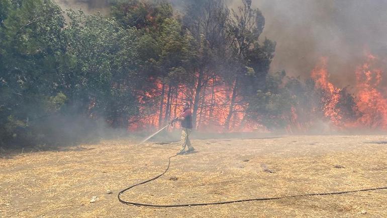 Last Minute | Waldbrand in Çanakkale: Die Intervention setzt den Schiffsverkehr fort, das ausgesetzt ist