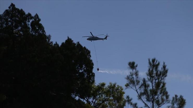 Das Waldbrand in der Sinop steckt ein