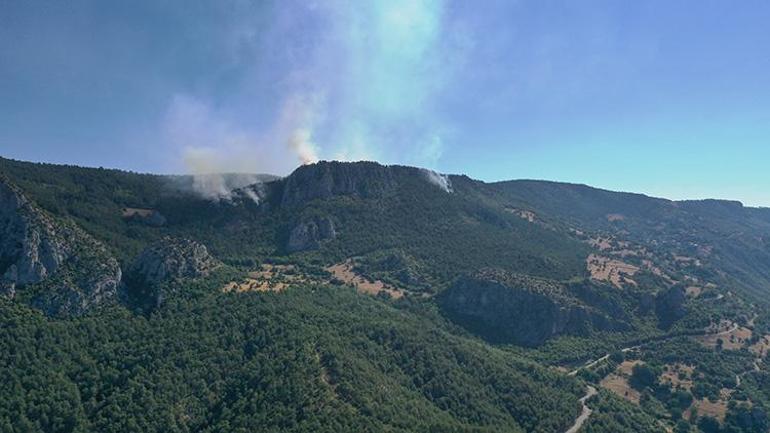 Das Waldbrand in der Sinop steckt ein