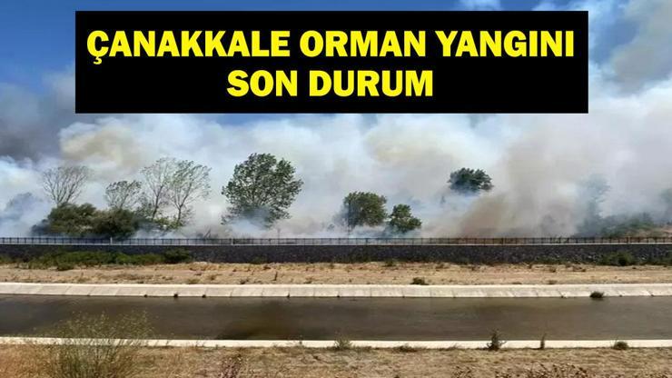 Çanakkale Forest Fire in letzter Minute: Çanakkale Waldfeuer wurde unter Kontrolle oder gelöscht? Was ist die neueste Situation?