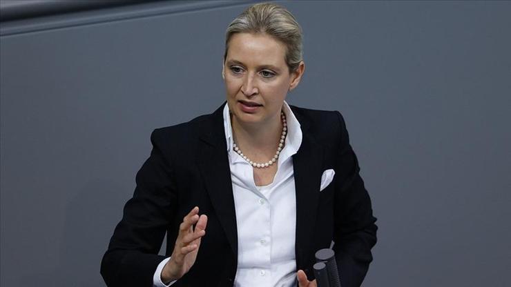 Deutschlands Umfrage: Extreme Right -Wing AFD ist wieder in erster Linie