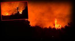 Waldbrände nacheinander! Flammen näherten sich der Siedlung in Izmir