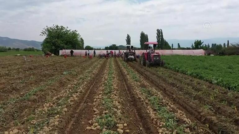 Minister Yumaklı kündigte an… Riese Agraranlage kommt zu Batman