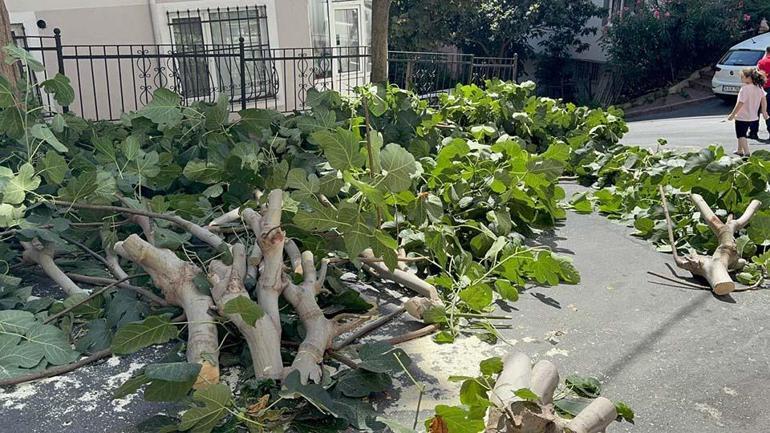 Last Minute: Istanbulu traf den Sturm: Gülhane Park, um seine Wirkung zu erhöhen, wurde geschlossen ....
