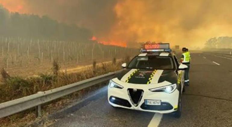 Spanienwaldbrand an 14 verschiedenen Punkten: 7 Lebensverlust