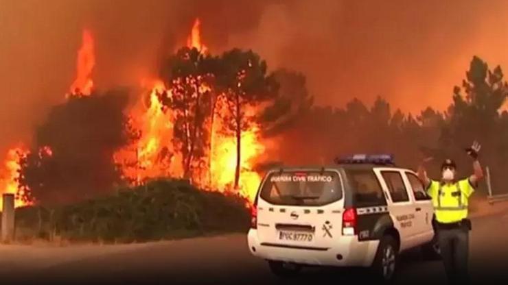 Spanien in 14 verschiedenen Punkten Waldfeuer: 7 Lebensverlust!