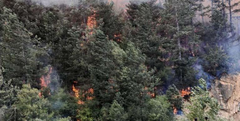 Waldbrand in Bolu geht weiterhin ein