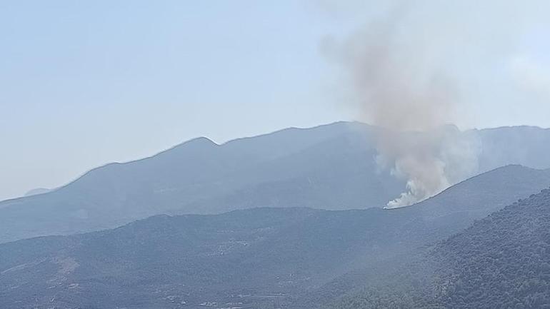 Waldbrand in Muğla: Die Teams gehen ein