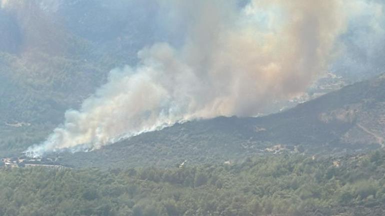 Waldbrand in Muğla: Die Teams gehen ein
