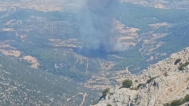 Waldbrand in Muğla: Die Teams gehen ein