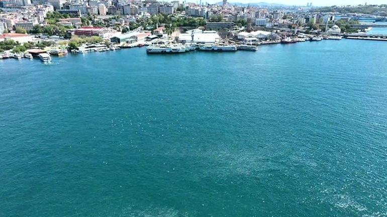 Wollte Schwimmer im Hals von Istanbul