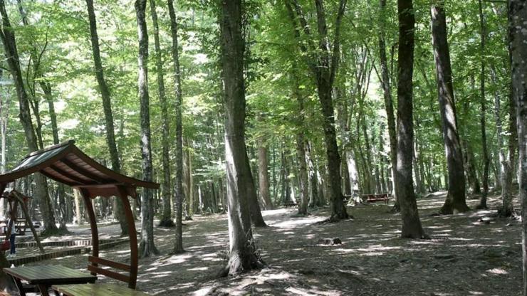 Fire -Picnic -Verbot wurde in Ankara verlängert