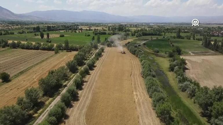 Landwirtschaftliche Land mieten, das seit 2 Jahren nicht mehr gepflanzt wird