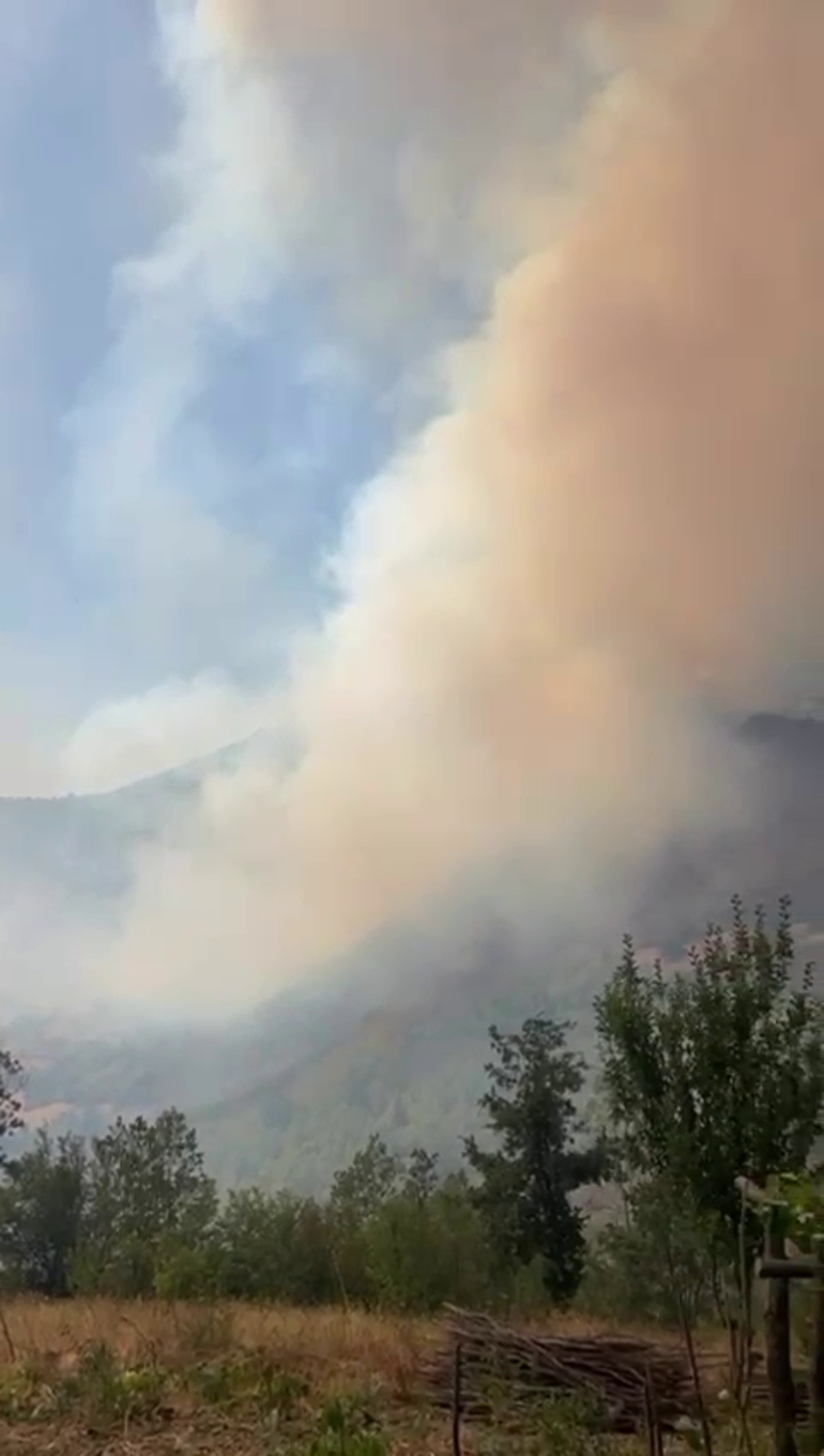 Waldfeuer im Küre Mountains National Park veröffentlicht