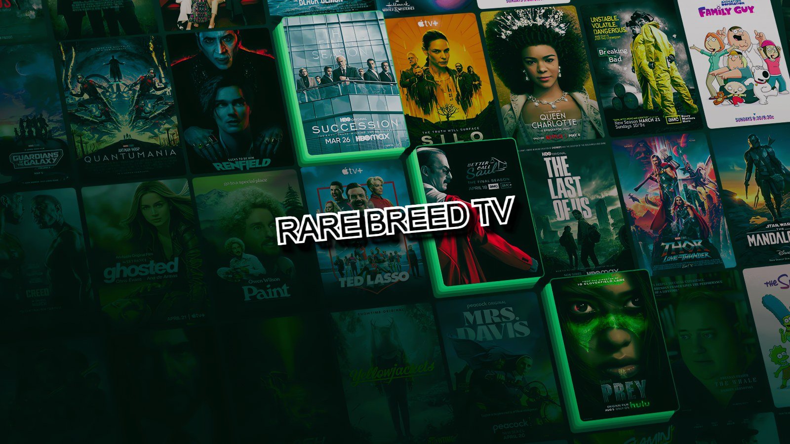 Seltener Rassenfernsehen