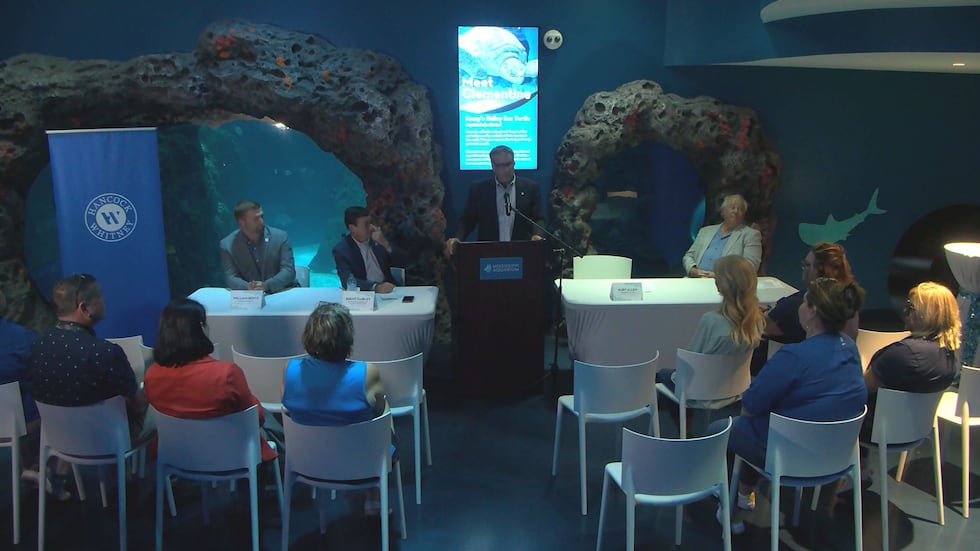 Mississippi Aquarium und Hancock Whitney machen eine besondere Ankündigung.
