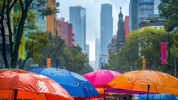 Temperatur, Regenwahrscheinlichkeit, Trübung