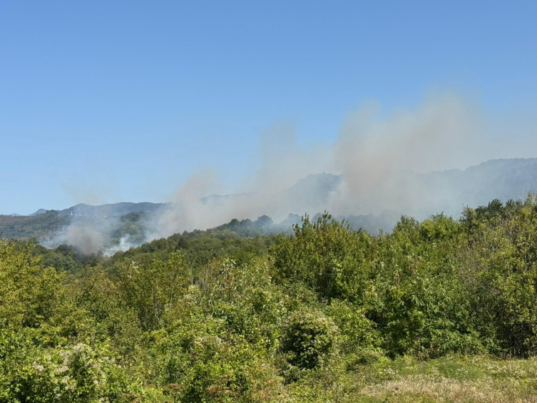 Der Kampf gegen Waldbrände geht weiter