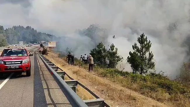 Waldfeuer in Bolu Mengen: Teams greifen in Flammen ein
