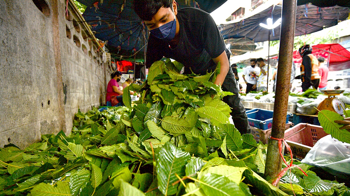 Kratom geht am Stall auf dem Markt in Bangkok