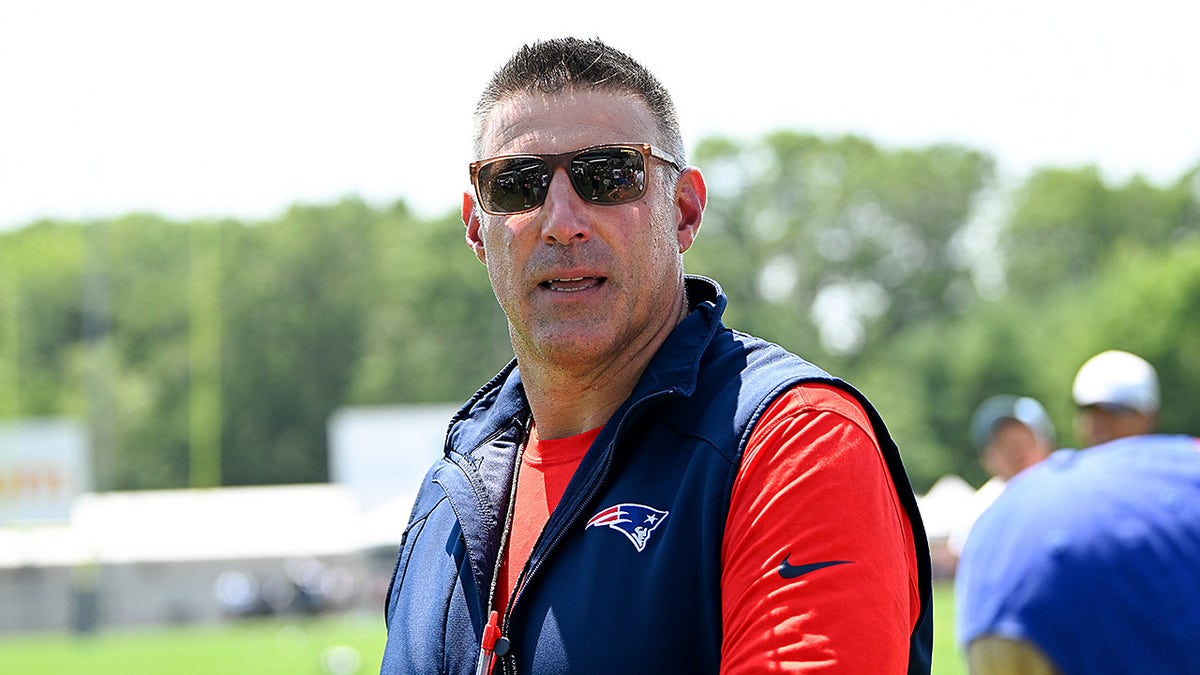 Mike Vrabel schaut zu