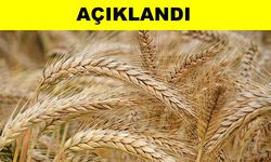 Fleisch- und Getreidepreise nach KTB -Liste