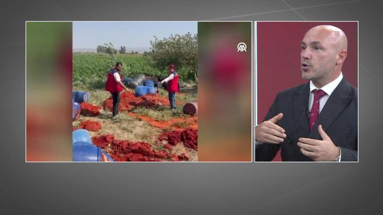 Trumpft in Paste nach Fleisch: Tomatenzellstoff wurde verkauft