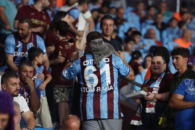 Eine erste in den Tribünen: Burgund Blue Fans Cat Toma Visa